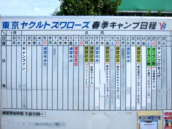 ヤクルトスワローズ沖縄キャンプ